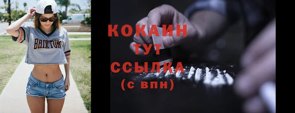 прущие грибы Михайловск