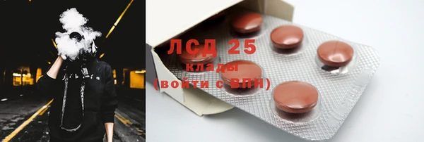 прущие грибы Михайловск