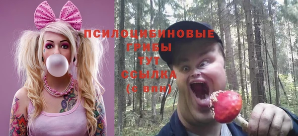 хмурый Надым