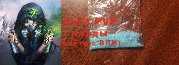 прущие грибы Михайловск