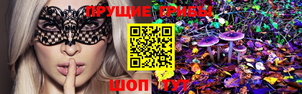 Псилоцибиновые грибы прущие грибы  Мыски 