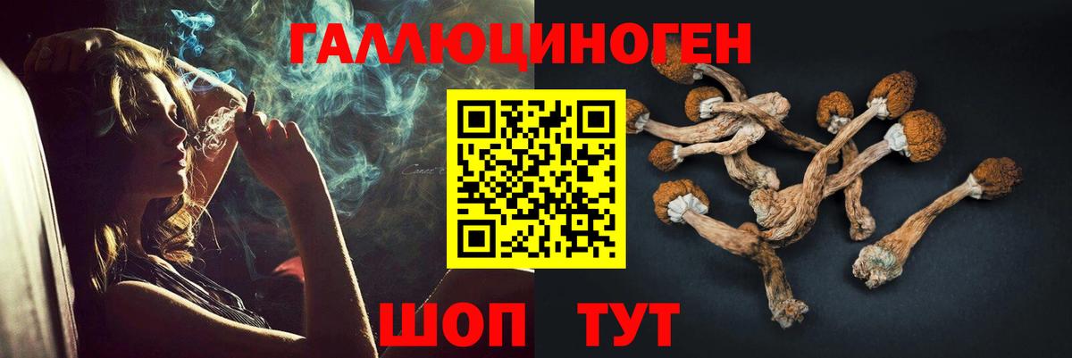 Мыски  Галлюциногенные грибы мухоморы  Вход с VPN  Галлюциногенные грибы GOLDEN TEACHER 