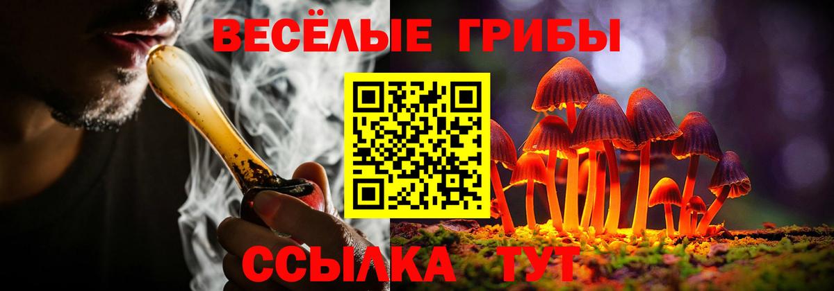 Галлюциногенные грибы GOLDEN TEACHER Мыски